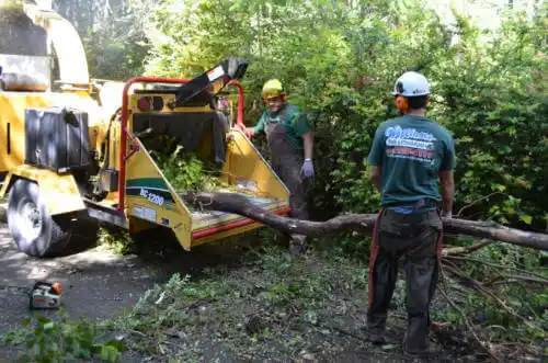 tree services Zearing